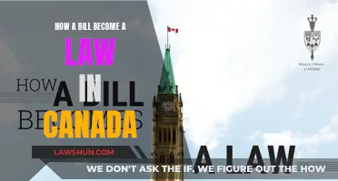 Canada's Lawmaking Process: From Bill to Act