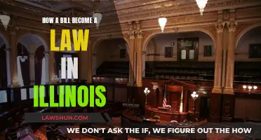 Illinois Lawmaking: How Bills Become Laws