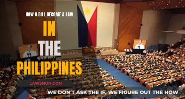 The Long Road: Bill to Law in Philippines