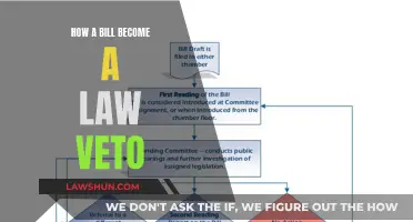 The Veto Power: How a Bill Becomes Law