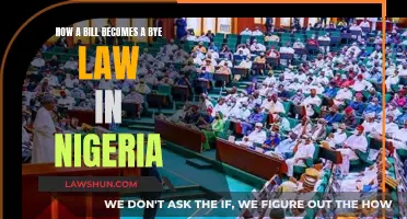 Understanding the Nigerian Bill-to-Bye-Law Process