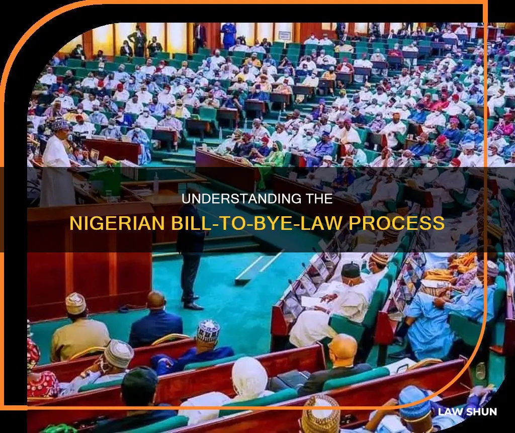 how a bill becomes a bye law in nigeria