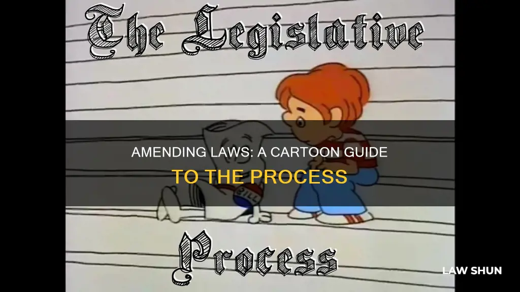 how a bill becomes a law 10 amendments cartoon