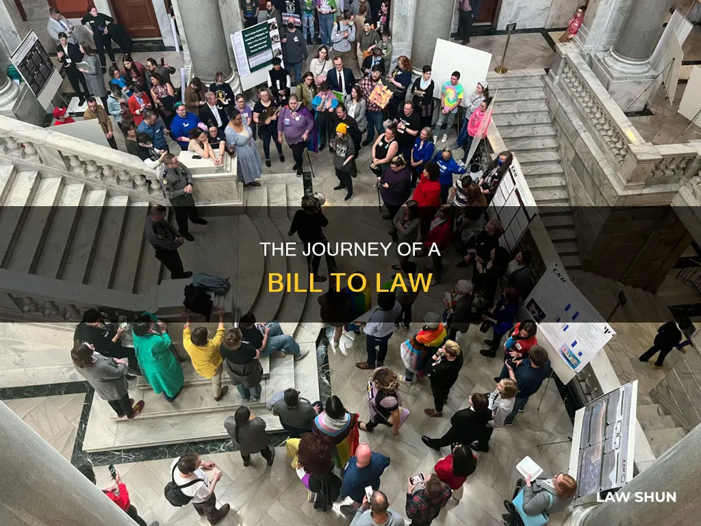 how a bill becomes a law 12 steps gov