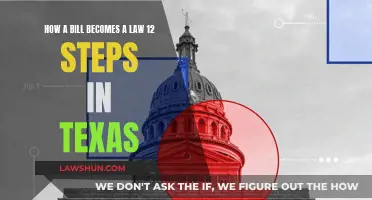 Understanding the Texas Lawmaking Process: 12 Key Steps