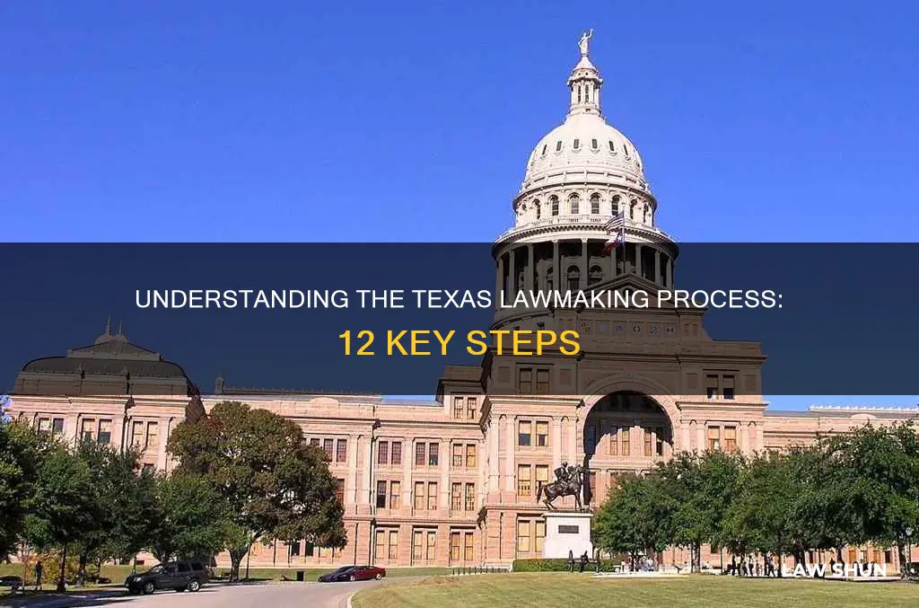 how a bill becomes a law 12 steps in texas