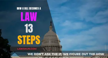 The Law-Making Process: Steps to Turn a Bill into Law