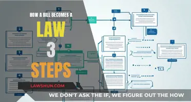 Understanding the Lawmaking Process: Steps to Enact Legislation