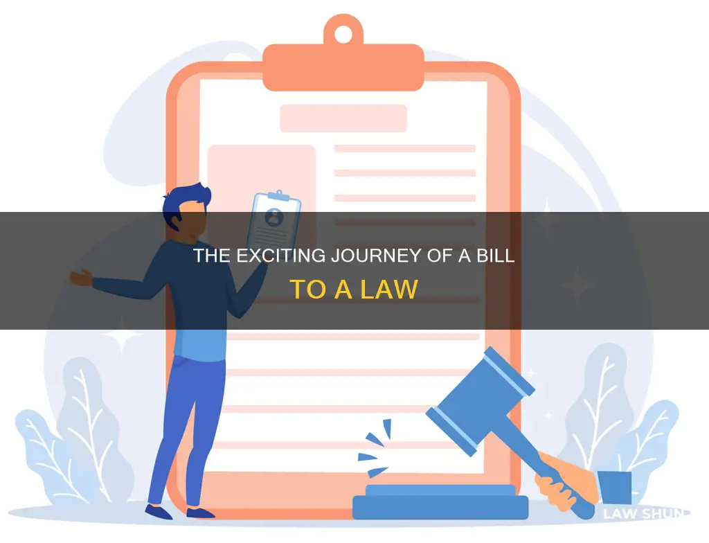 how a bill becomes a law 5th grade