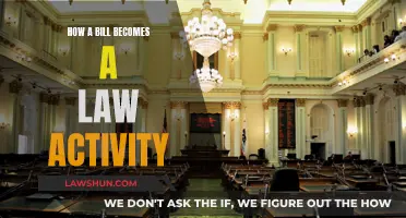 Understanding the Legislative Process: Bills to Laws