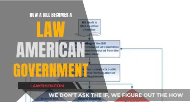 The American Lawmaking Process: From Bill to Law