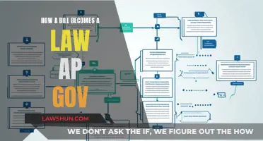 The Legislative Process: How Bills Become Laws