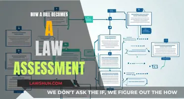 Understanding the Legislative Process: From Bill to Law