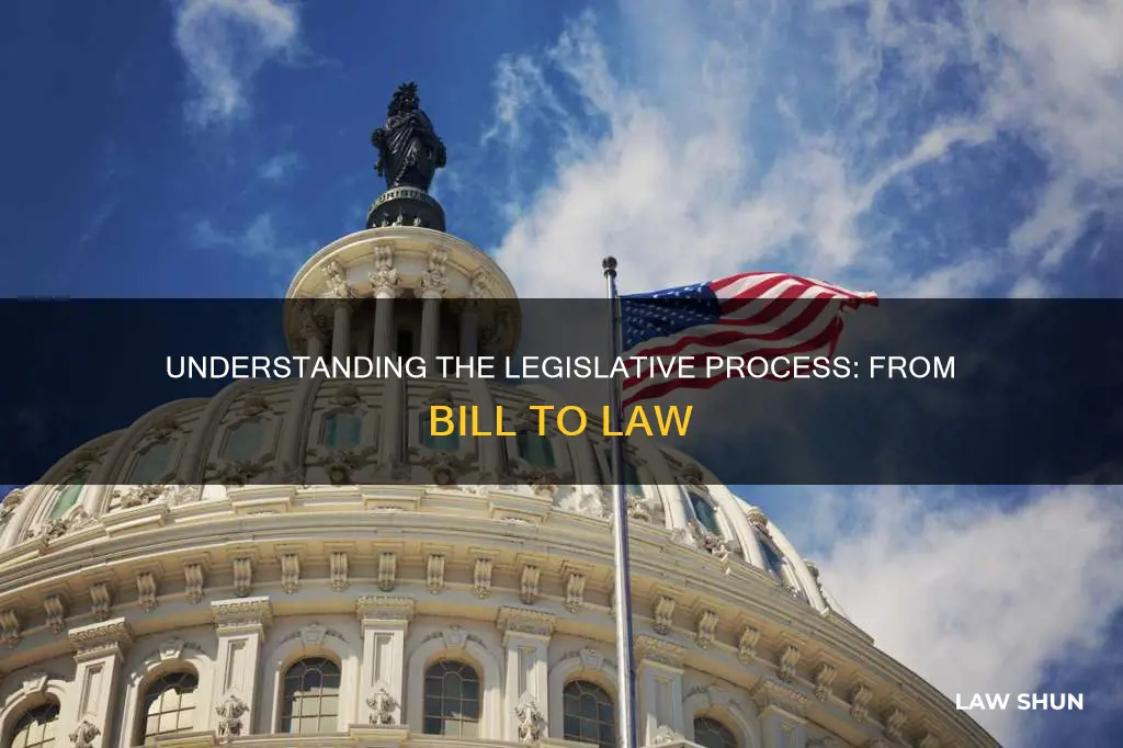 how a bill becomes a law assessment