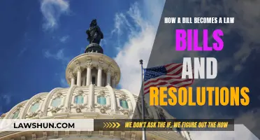 The Legislative Process: Bills to Laws