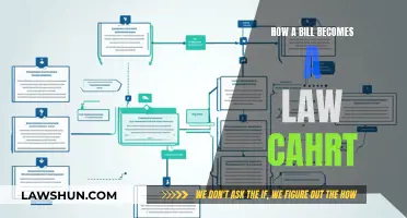 The Journey of a Bill to Law