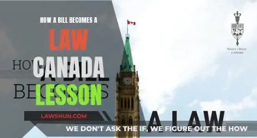 The Legislative Process: How Canada Turns Bills into Laws