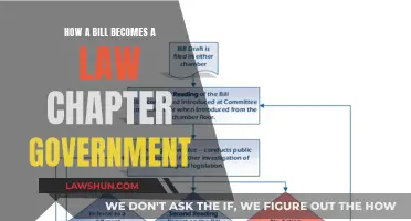 The Law-Making Process: How Bills Become Laws