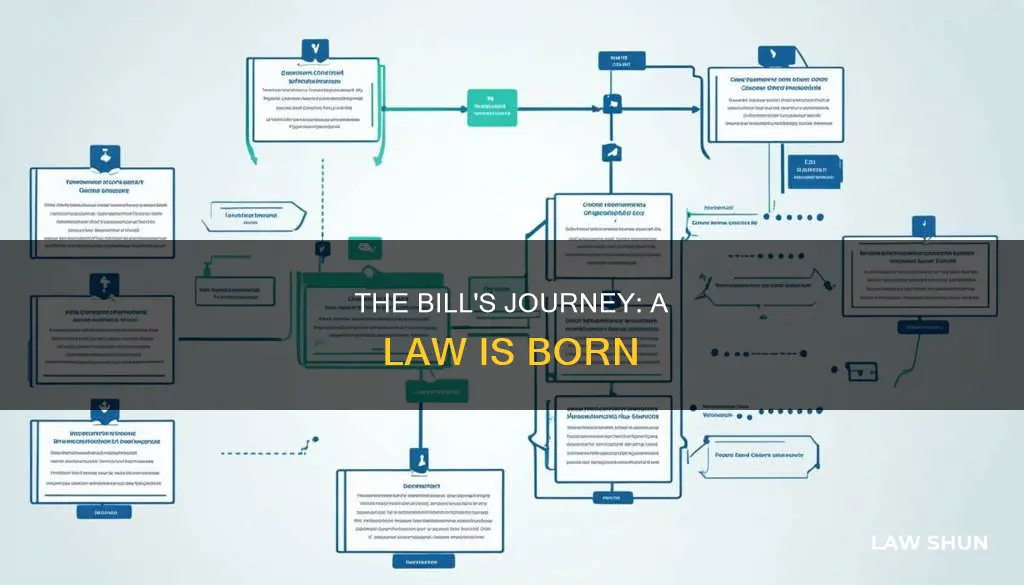 how a bill becomes a law children