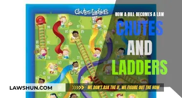 The Journey of a Bill to Law: Chutes and Ladders