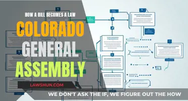 Understanding the Lawmaking Process in Colorado