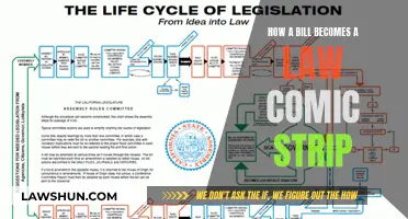 The Legislative Process: A Comic Strip Guide