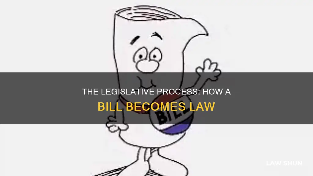 how a bill becomes a law condensed