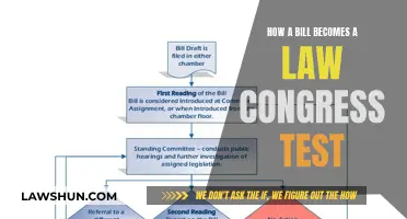 The Lawmaking Process: Congress and How Bills Become Laws