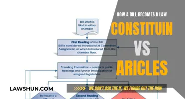 Understanding the Legislative Process: Constitution and Articles