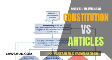 Understanding the Legislative Process: Constitution and Articles