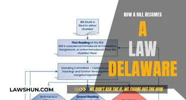 Understanding Delaware's Lawmaking Process: From Bill to Act