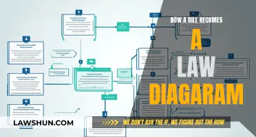 Understanding the Legislative Process: A Visual Guide