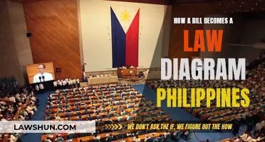 Understanding the Philippines' Legislative Process Visually