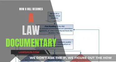 The Legislative Process: Bill to Law