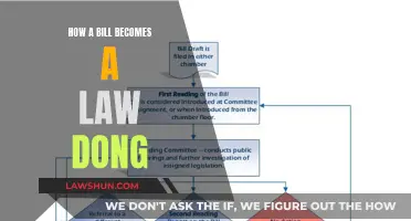 The Journey of a Bill to Law