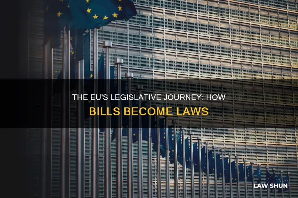 how a bill becomes a law european union