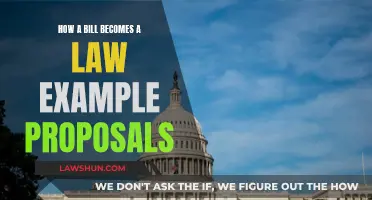 The Legislative Process: How Bills Become Laws