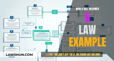 The Legislative Process: How Bills Become Laws