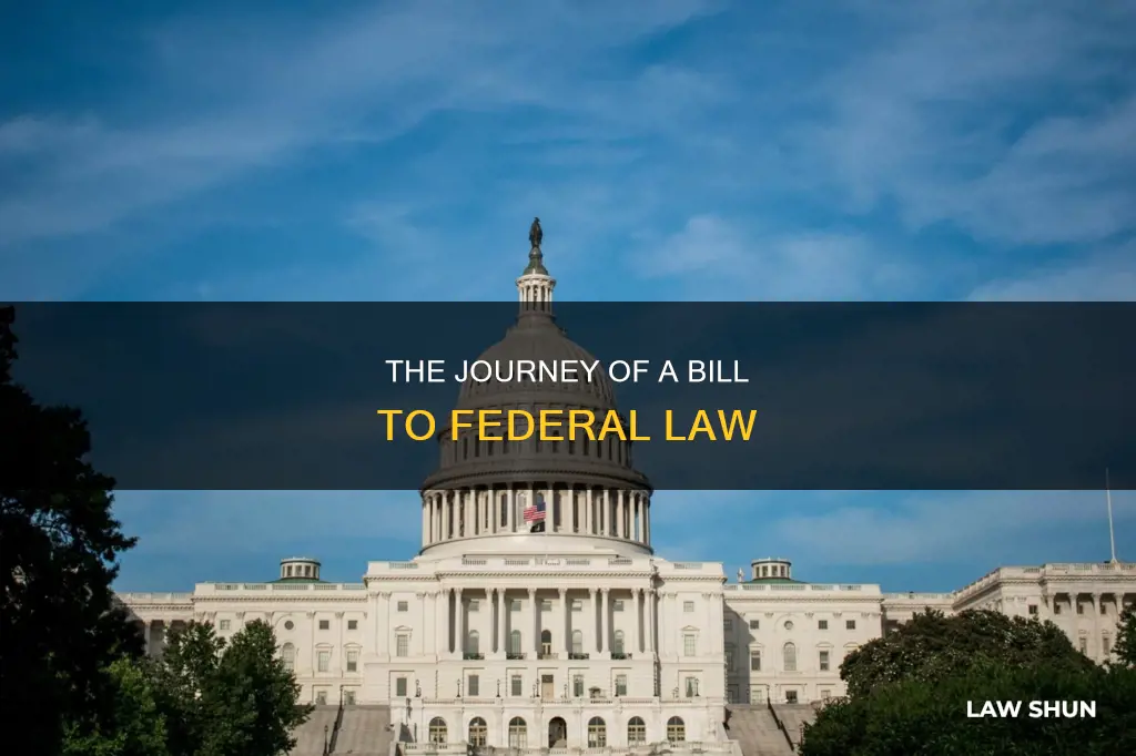 how a bill becomes a law federal level