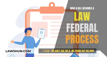 The Federal Process: How a Bill Becomes Law