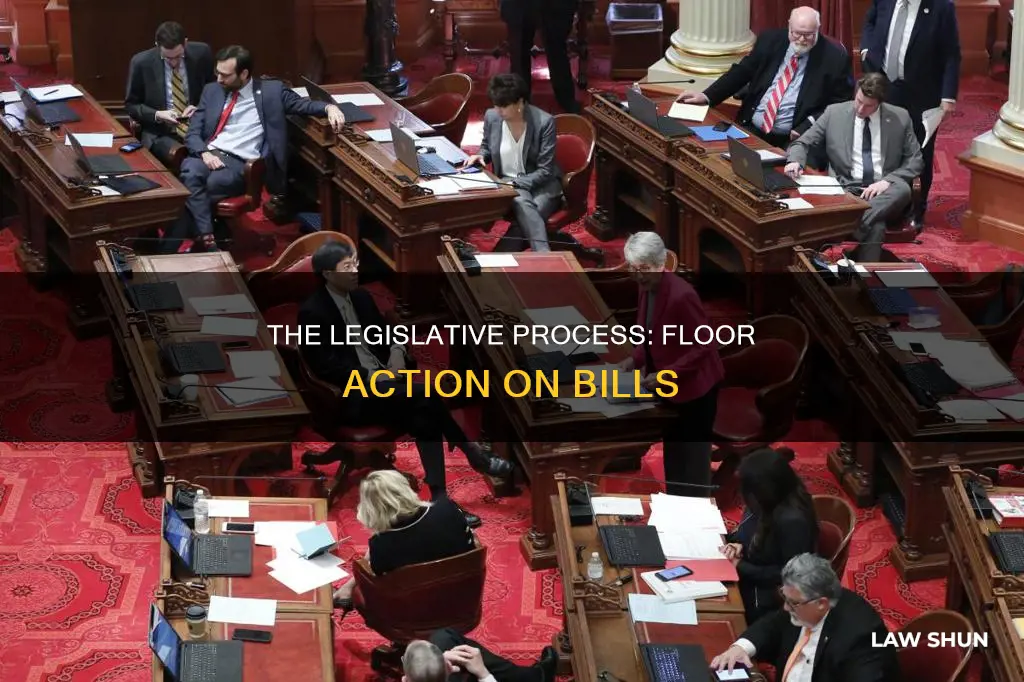 how a bill becomes a law floor action