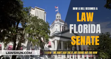 Florida Senate: How Bills Become Laws