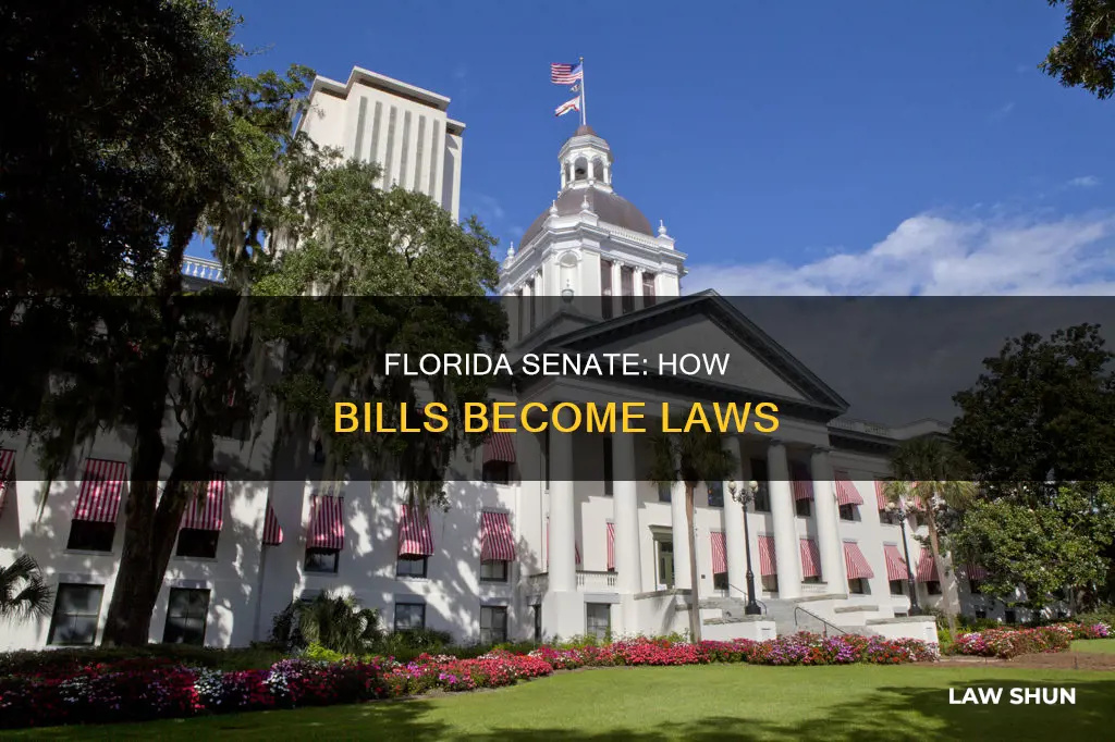 how a bill becomes a law florida senate