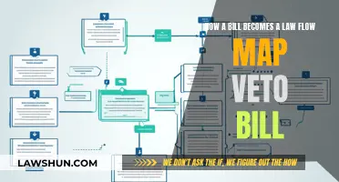 The Bill-to-Law Journey: Veto and Flow Map