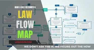 The Process of Lawmaking: A Bill's Journey