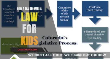 The Law-Making Process: How Bills Become Laws for Kids