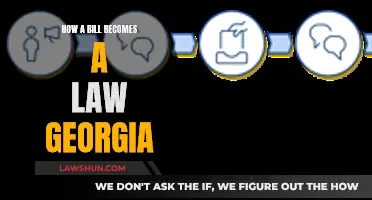 The Journey of a Bill to a Law in Georgia