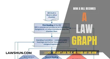 The Journey of a Bill to Law Visualized