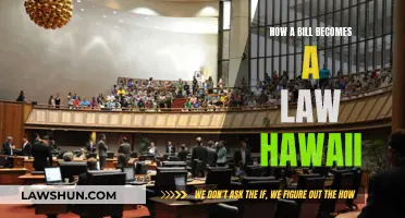 Hawaii's Lawmaking Process: From Bill to Act