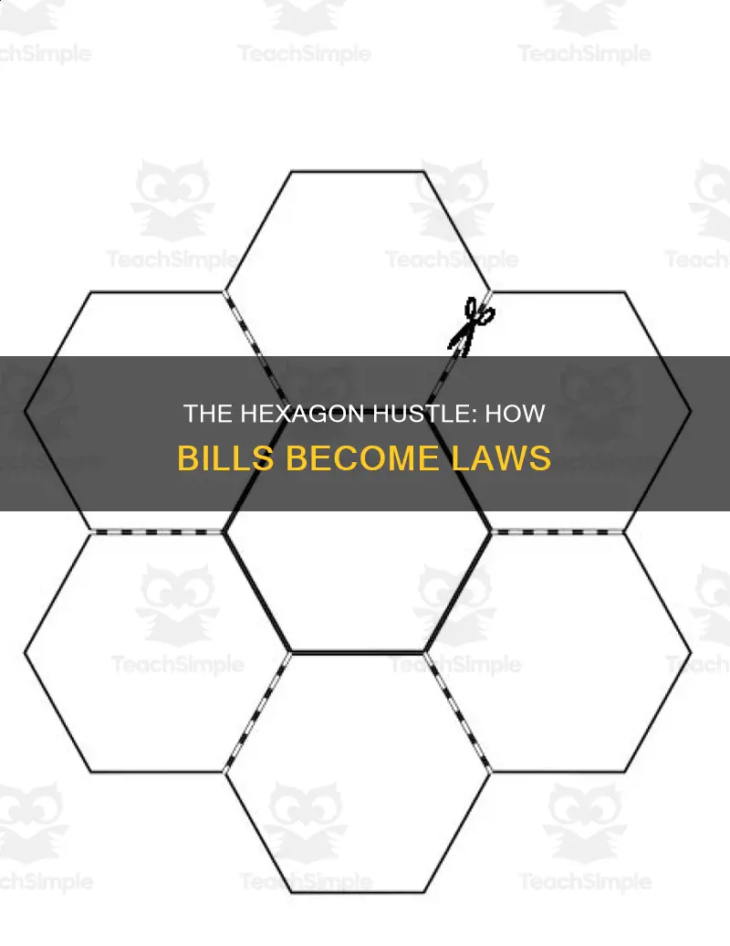 how a bill becomes a law hexagon